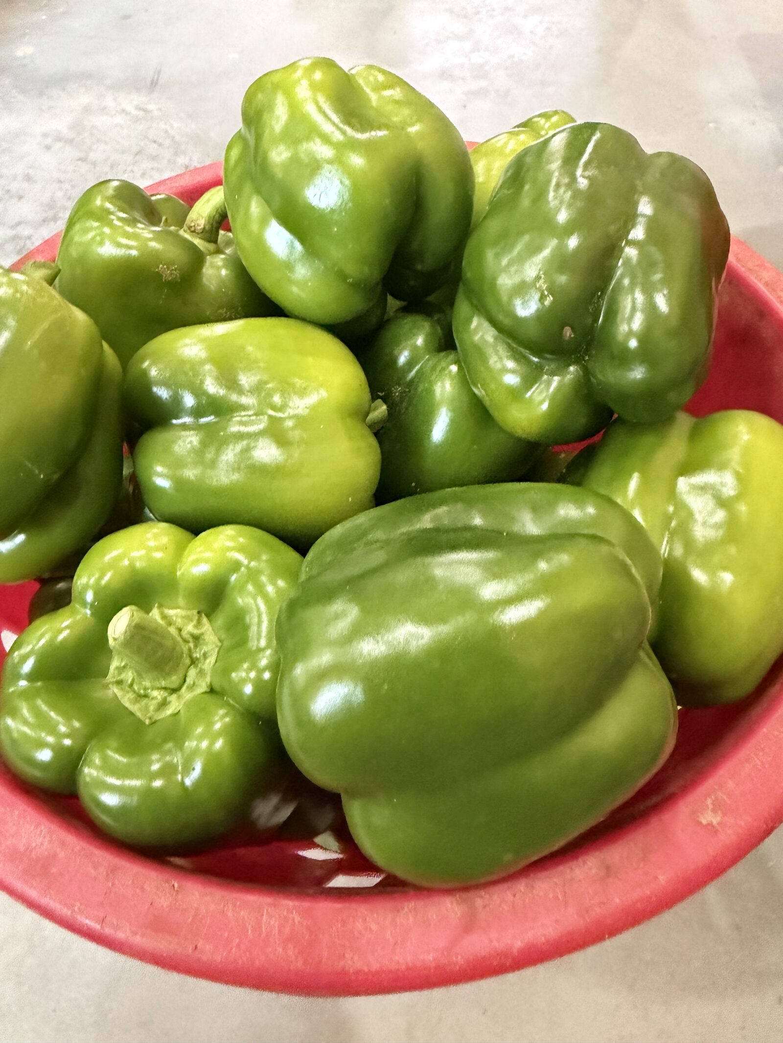 Bowl of freshly picked green bell peppers