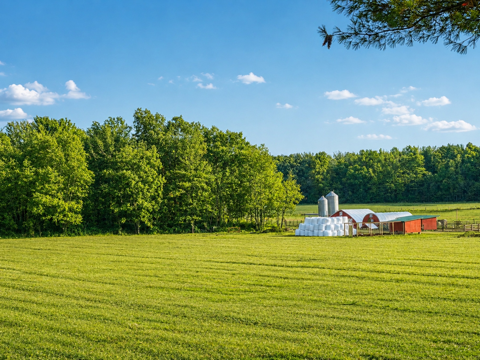 Green pasture with red barns and silos under a blue sky