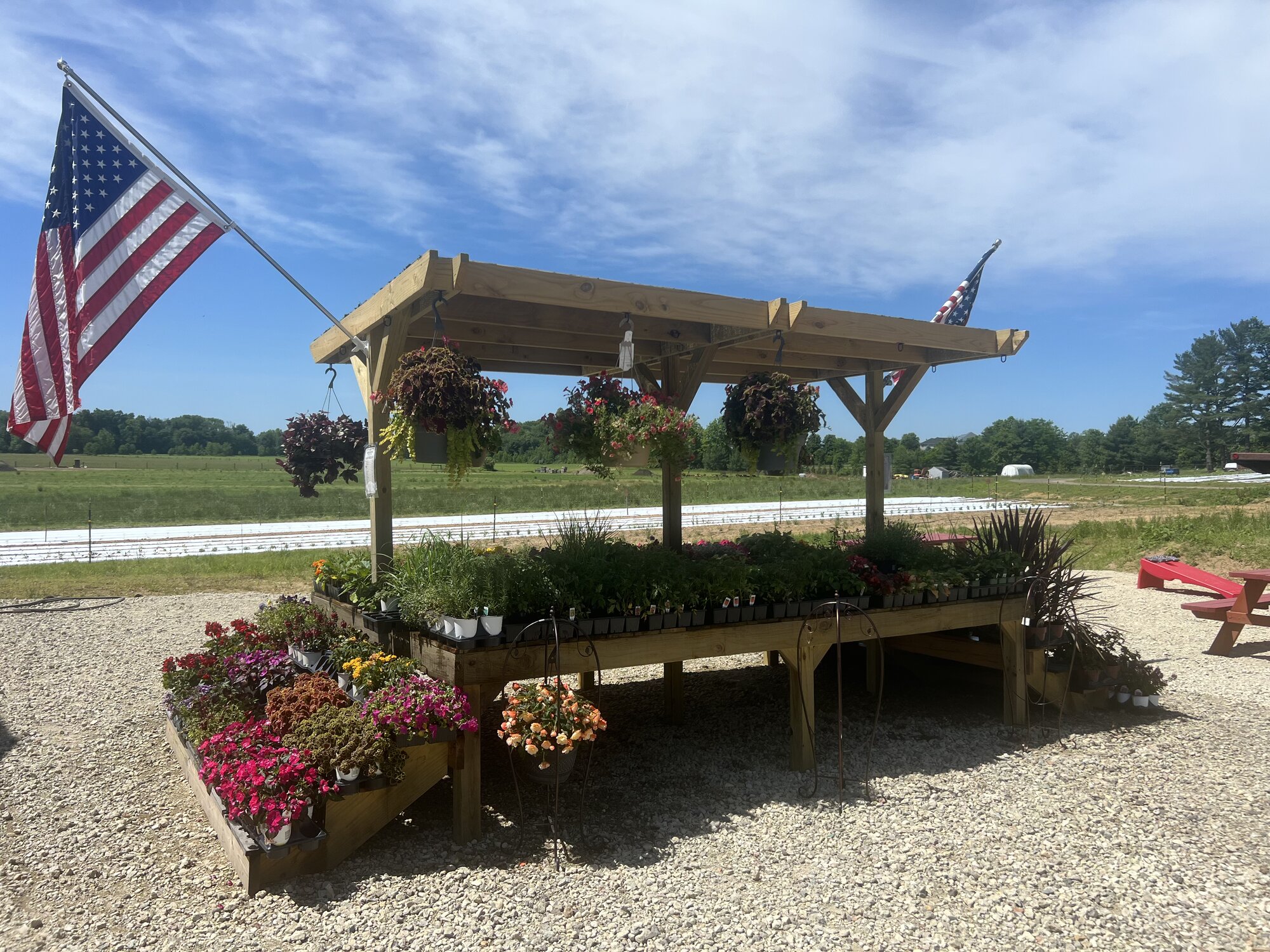 Hanging baskets and flowers at the plant stand by the field