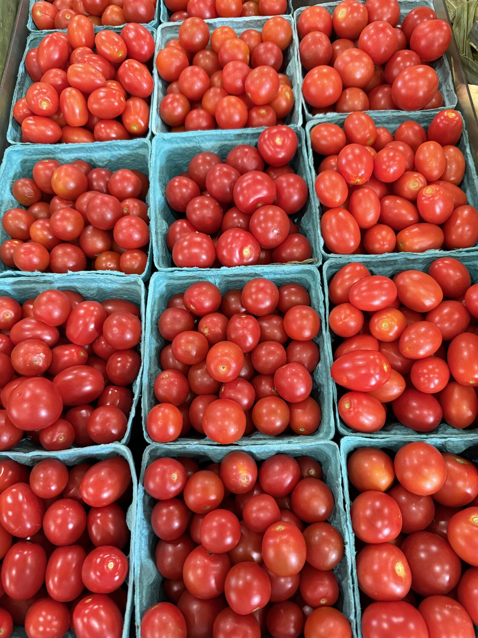 Quart baskets filled with ripe plum tomatoes ready for sale