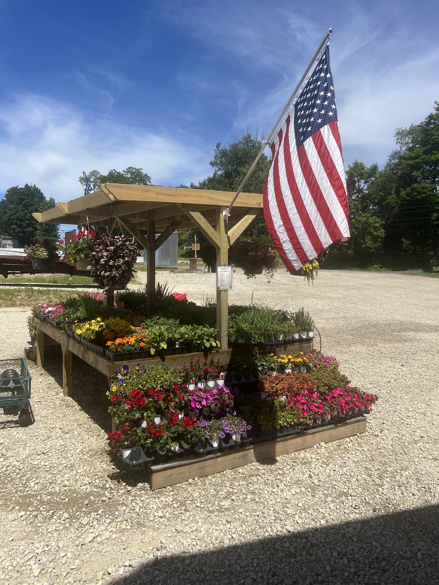 Plant and flower stand with American flag