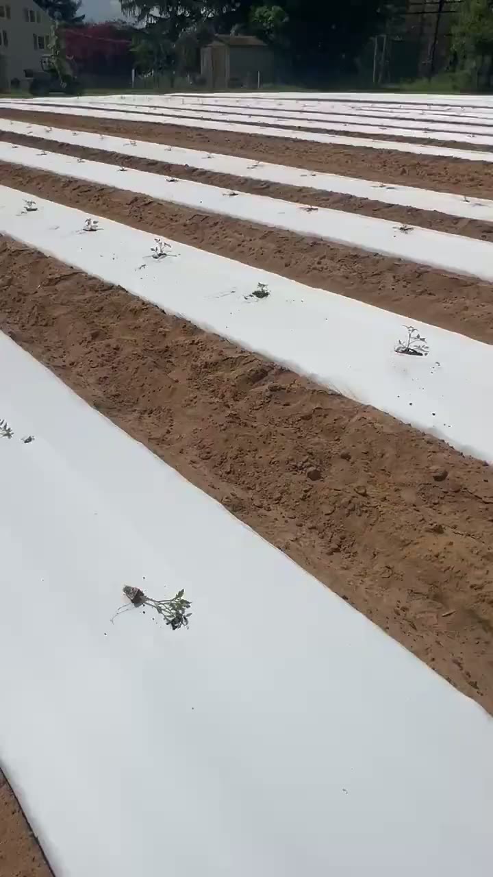 Video from around the farm