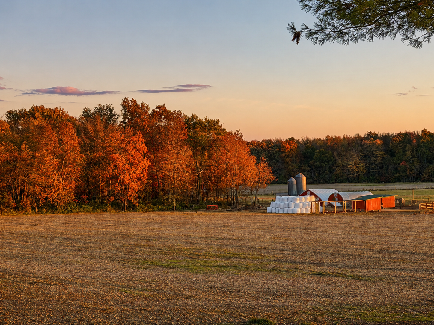Farm at sunrise